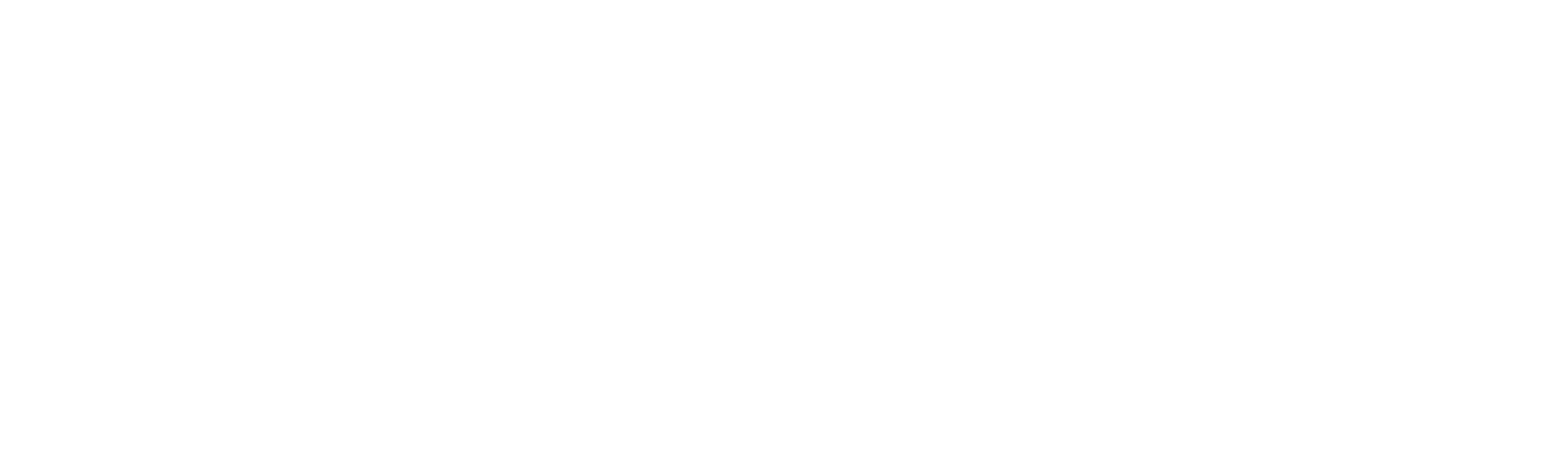 Verweij logo wit
